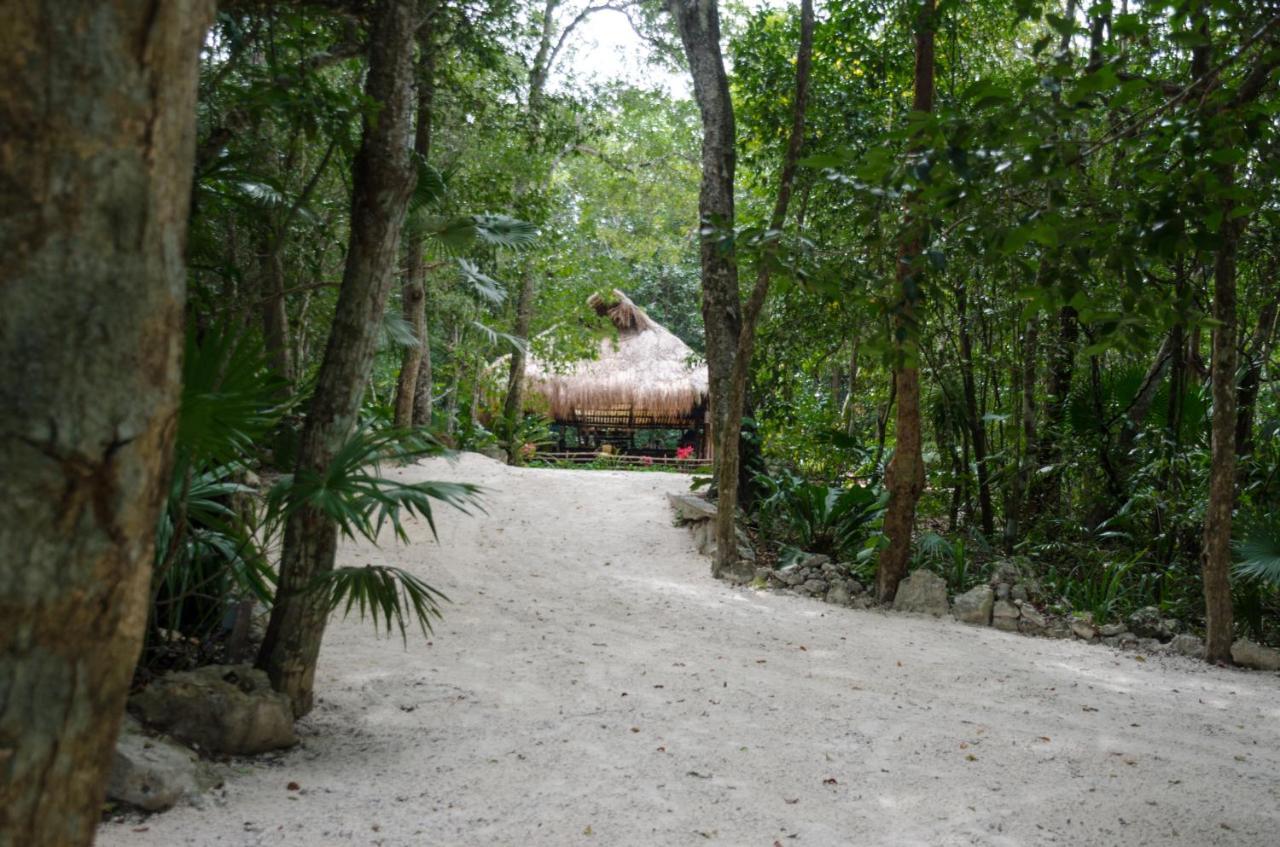 Rotamundos Mama Loomm Hotell Playa del Carmen Exteriör bild