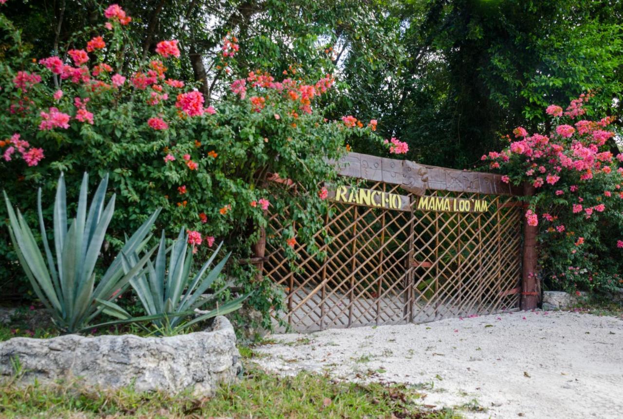 Rotamundos Mama Loomm Hotell Playa del Carmen Exteriör bild