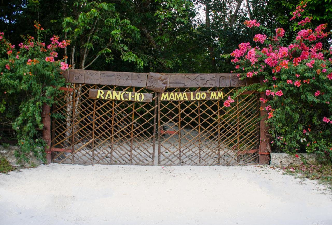 Rotamundos Mama Loomm Hotell Playa del Carmen Exteriör bild